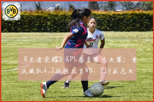 《王者荣耀》KPL春季赛总决赛：重庆狼队4_2战胜北京WB，Fly获总决赛FMVP